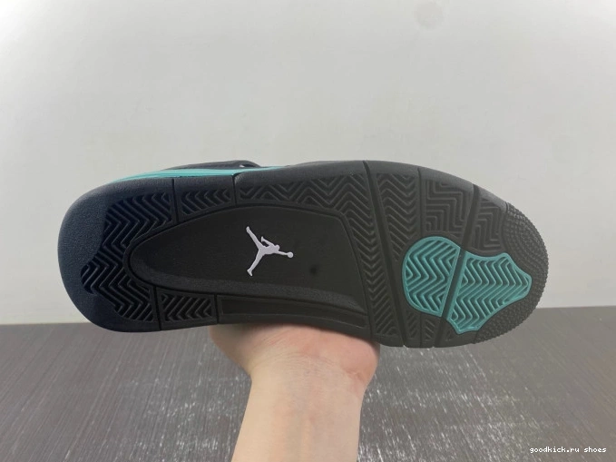 Air Jordan DH6927-001 4 0723